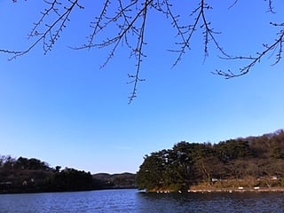 盛岡の高松の池にて　悔しくて、嬉しくて 若かりし頃、泣いて笑った懐かしの公園です